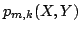 $ p_{m,k}(X,Y)$