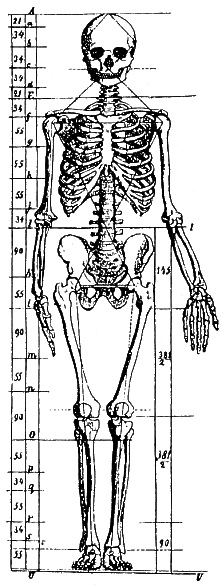 Figure 4 for Marcus Frings