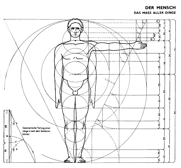 Figure 5 for Marcus Frings