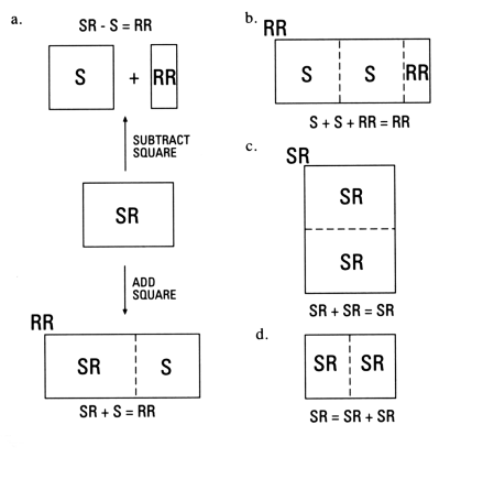 Square, Roman Rectangle and Square-Root Rectangle