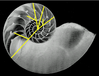 Figure 37 for John Sharp